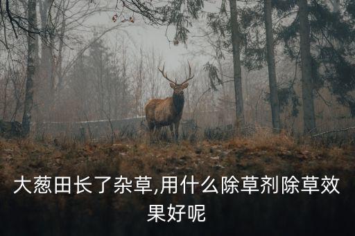 治地里草的農(nóng)藥是什么,蚧必治是什么農(nóng)藥