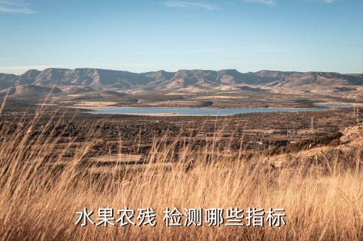 水果農(nóng)殘 檢測哪些指標