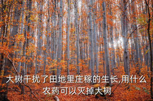 大樹干擾了田地里莊稼的生長,用什么 農藥可以滅掉大樹