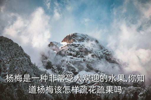 楊梅樹結果了噴什么農藥