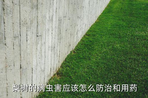  梨樹的病蟲害應(yīng)該怎么防治和用藥