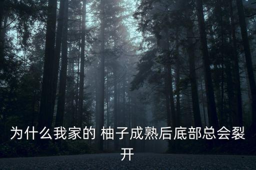 為什么我家的 柚子成熟后底部總會裂開