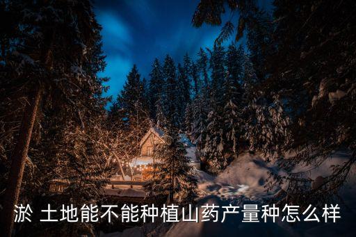 淤 土地能不能種植山藥產量種怎么樣