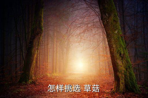 怎樣挑選 草菇