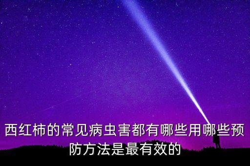 西紅柿的常見病蟲害都有哪些用哪些預防方法是最有效的