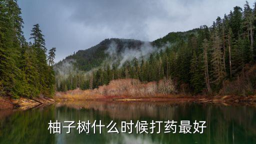 給果樹噴農藥什么時間,現在果樹打什么農藥好呢