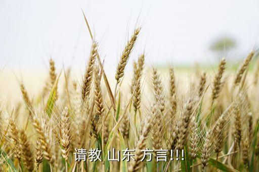 農藥山東方言叫什么來著,山東方言老太太叫什么