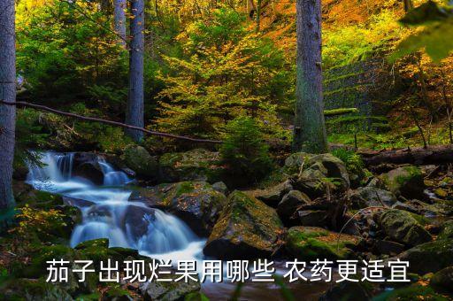  茄子出現(xiàn)爛果用哪些 農(nóng)藥更適宜