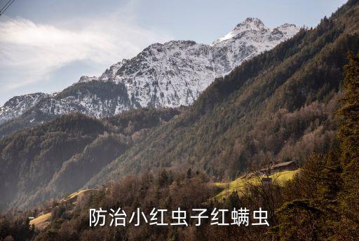 防治小紅蟲子紅螨蟲