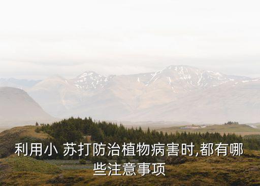 小蘇打能和什么農(nóng)藥混用