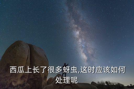  西瓜上長(zhǎng)了很多蚜蟲(chóng),這時(shí)應(yīng)該如何處理呢