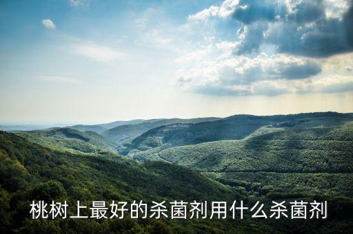  桃樹上最好的殺菌劑用什么殺菌劑