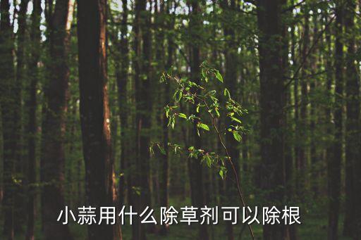 什么農藥能使大蒜不長蒜頭