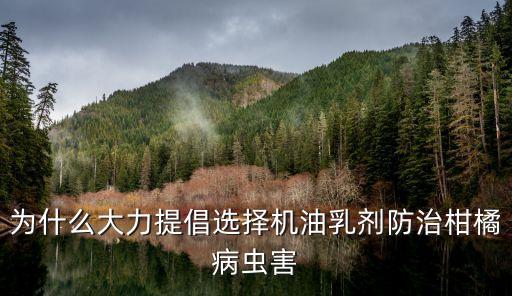 柑桔潛葉蛾用什么農藥