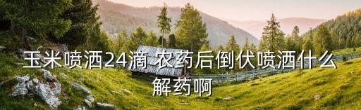 玉米噴灑24滴 農藥后倒伏噴灑什么 解藥啊