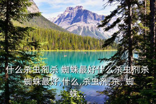 什么殺蟲劑殺 蜘蛛最好什么殺蟲劑殺 蜘蛛最好,什么,殺蟲劑,殺, 蜘蛛...