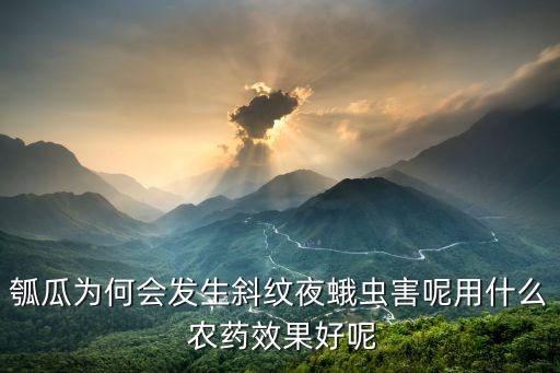 多工一號是什么農藥,跳甲一號是什么農藥