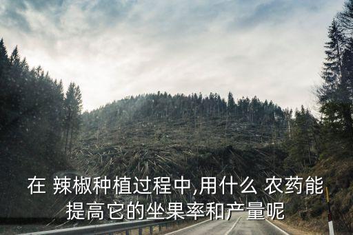 辣椒移植前打什么農(nóng)藥好,移植辣椒苗注意什么