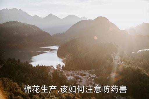 什么農藥對棉花有傷害,棉花后期打什么農藥