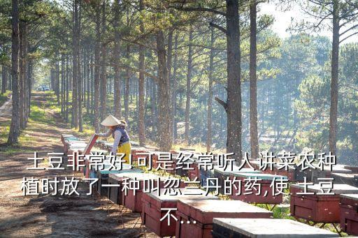 土豆非常好!可是經常聽人講菜農種植時放了一種叫忽蘭丹的藥,使 土豆不...