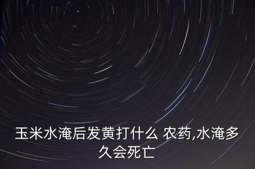 玉米水淹后發黃打什么 農藥,水淹多久會死亡