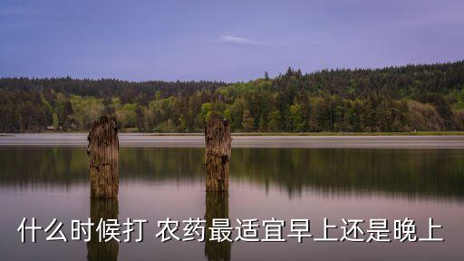 什么時(shí)候打 農(nóng)藥最適宜早上還是晚上