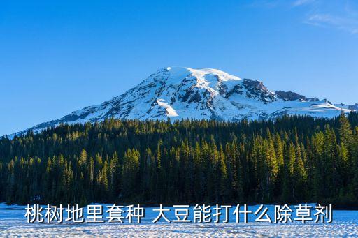 桃樹地里套種 大豆能打什么除草劑