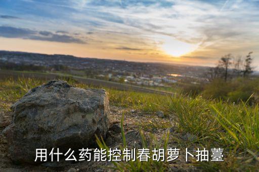 什么農藥可以增加紅蘿卜色,紅蘿卜用什么農藥
