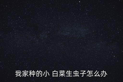 我家種的小 白菜生蟲子怎么辦