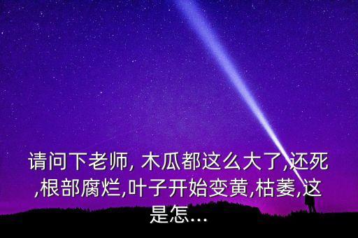 請問下老師, 木瓜都這么大了,還死,根部腐爛,葉子開始變黃,枯萎,這是怎...