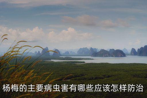 楊梅的主要病蟲害有哪些應該怎樣防治