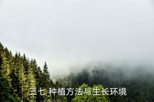  三七 種植方法與生長環境