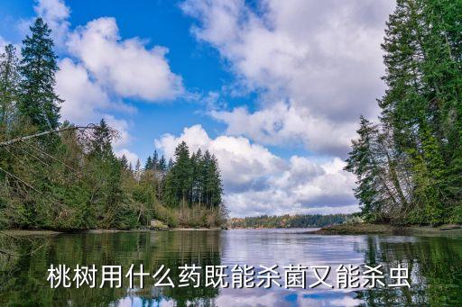 桃樹用什么藥既能殺菌又能殺蟲