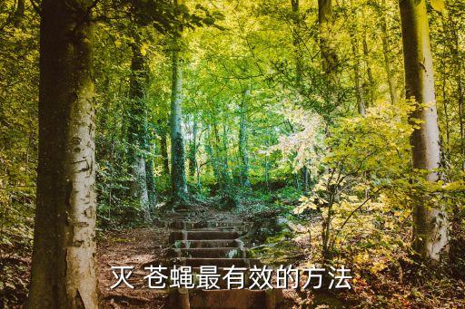 滅 蒼蠅最有效的方法