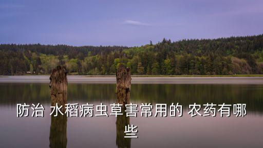 治療水稻用什么農(nóng)藥,水稻農(nóng)藥什么時(shí)間打效果最好