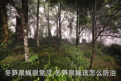 竹筍蛀蟲用什么農藥,樹上蛀蟲用什么農藥打