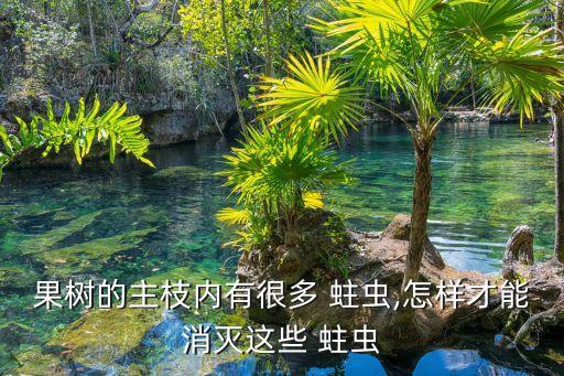果樹的主枝內有很多 蛀蟲,怎樣才能消滅這些 蛀蟲