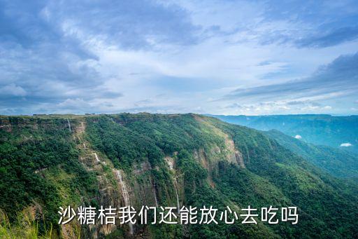 沙糖桔我們還能放心去吃嗎