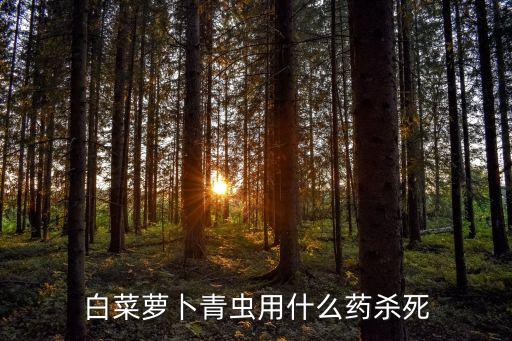 白菜蘿卜青蟲用什么藥殺死