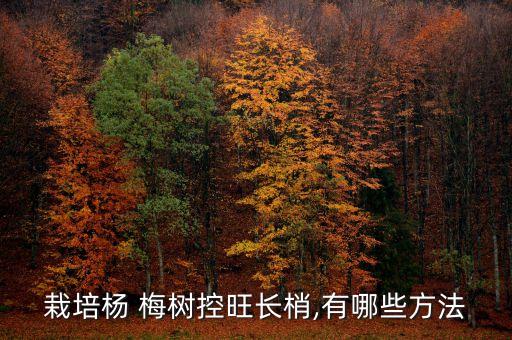 栽培楊 梅樹(shù)控旺長(zhǎng)梢,有哪些方法