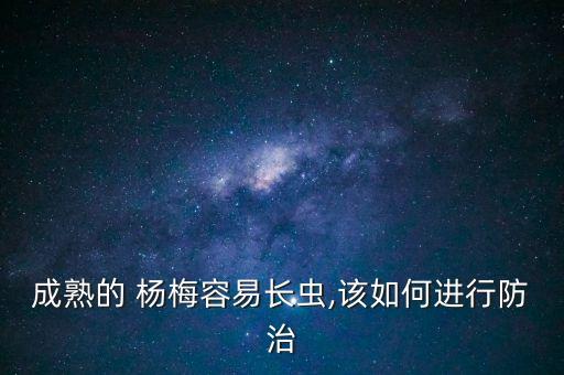 殺楊梅果蠅什么農藥最有效