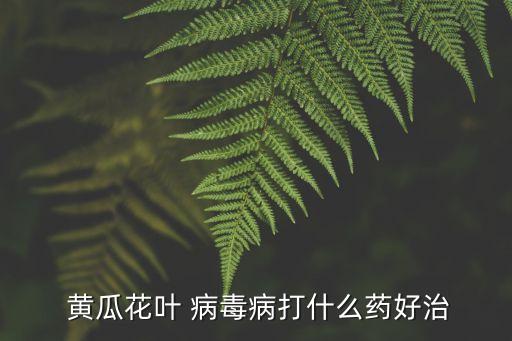 黃瓜打什么農藥治病毒病,黃瓜不能用什么農藥