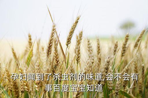  孕婦聞到了殺蟲劑的味道,會不會有事百度寶寶知道