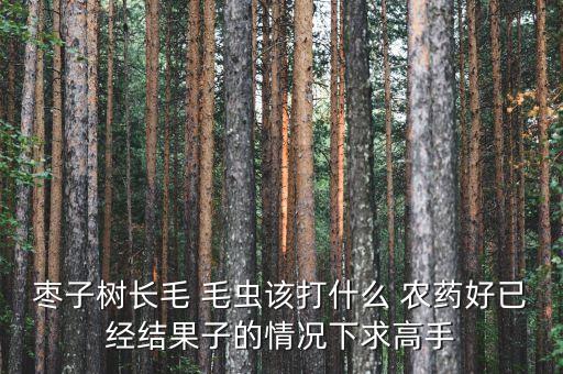 棗子樹長毛 毛蟲該打什么 農藥好已經結果子的情況下求高手