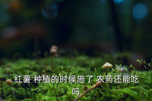  紅薯 種植的時(shí)候施了 農(nóng)藥還能吃嗎