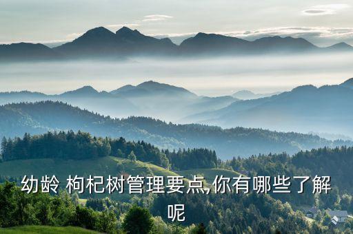 枸杞樹春季用什么農藥,枸杞主要打什么農藥