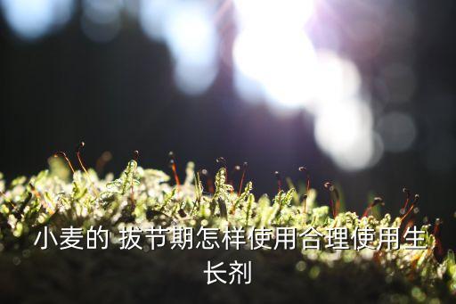 小麥拔節期間打什么農藥,什么是小麥拔節期視頻