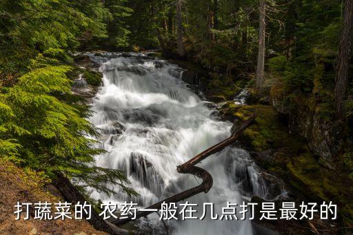 666農藥什么時候打最好,農藥什么時候噴灑效果最好