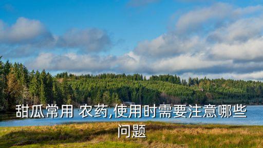 甜瓜常用 農藥,使用時需要注意哪些問題