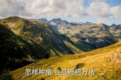 怎樣種植 絲瓜施肥方法